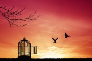 tantrisches Oster-Retreat - lebe deine Freiheit und lerne zu fliegen
