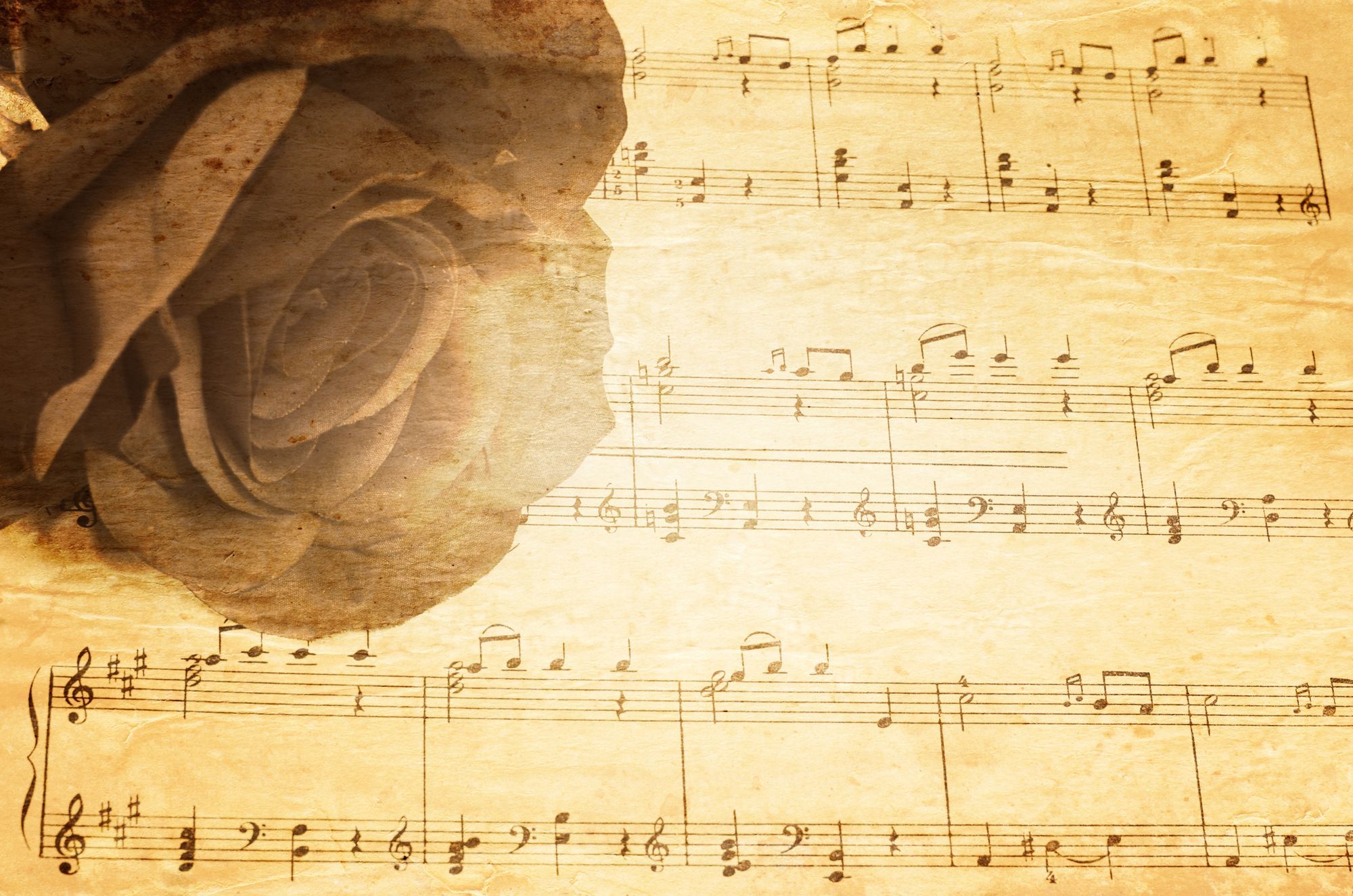 Sound Healing - die Kraft der Musik in dir