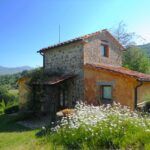 deine Unterkunft bei unserem Italien-Retreat: Podere di Maggio in Santa Fiora, ein Bio-Bauernhof
