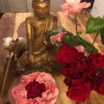 Küchenbuddha