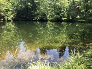 The Silbersee near Trippstadt in the Palatinate Forest, perfect for our tantric silent retreat