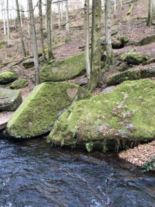 Karlstalschlucht bei Trippstadt ein Sehnsuchtsort 