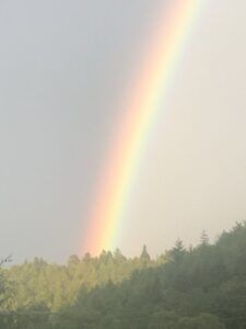 Regenbogen im Pfälzerwald in der Nähe von Elmstein